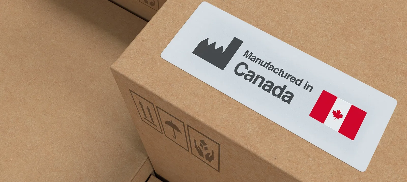 Logistics Professionals Mississauga