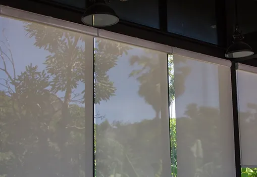 Living room with Sunscreen Window Shades filtering afternoon sun