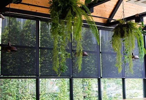 Canadian-made window shutters in Toronto home