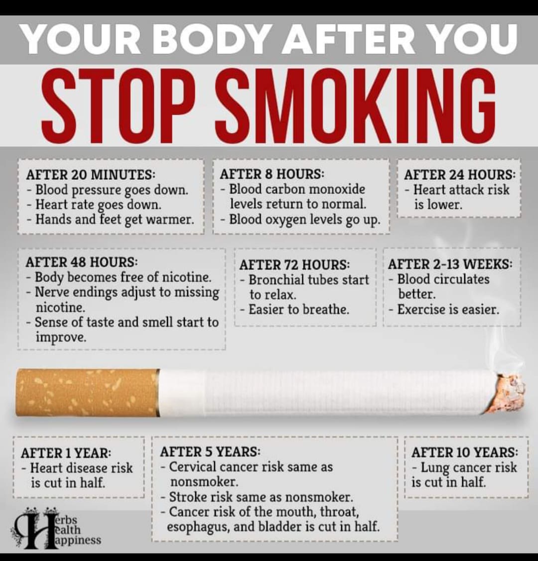 Your Body After You Stop Smoking- Informative Post by Better Results Personal Training