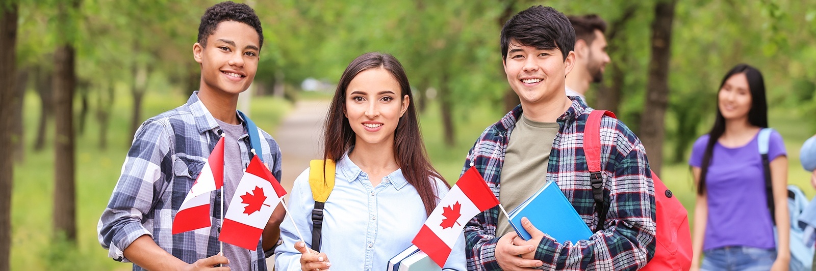 Secure your study permit and visa with the support of Canadian Immigration Consultants to pursue your education in Canada