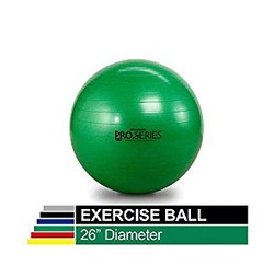 Exercise Ball Penticton Trainer by Funktion For Life - Fitness and Health as a Lifestyle