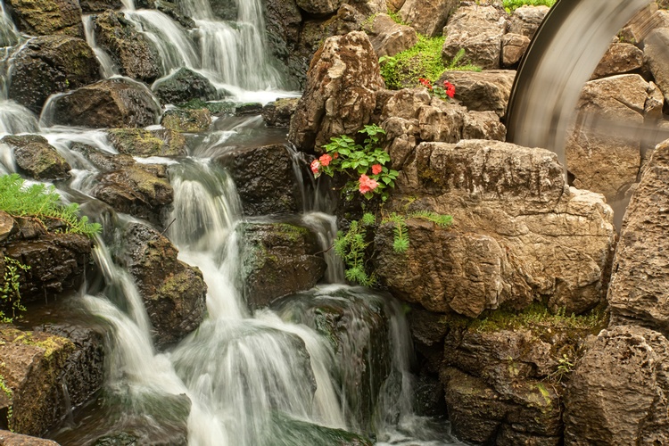 Shallow Waterfall - Stress Relieving Art Photography Creve Coeur by Coblitz Photographic Arts