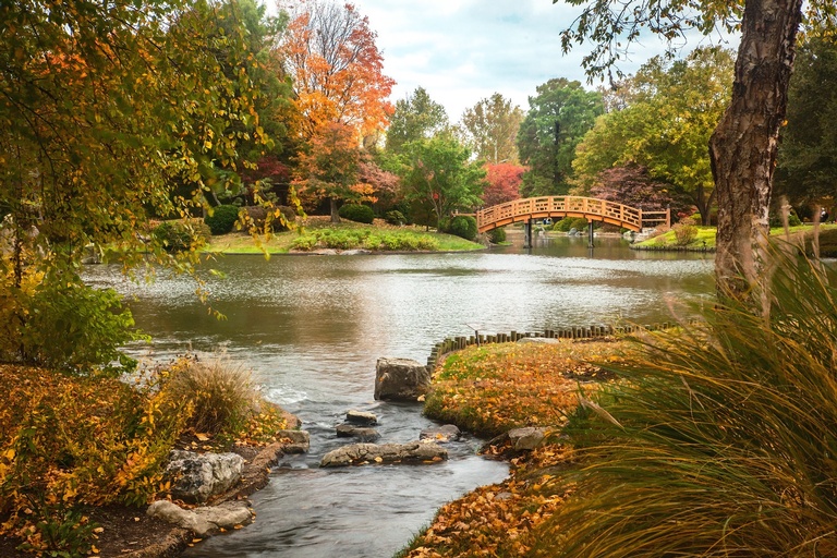 MO Botanical Garden Fall
