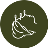 Cosmetic acupuncture