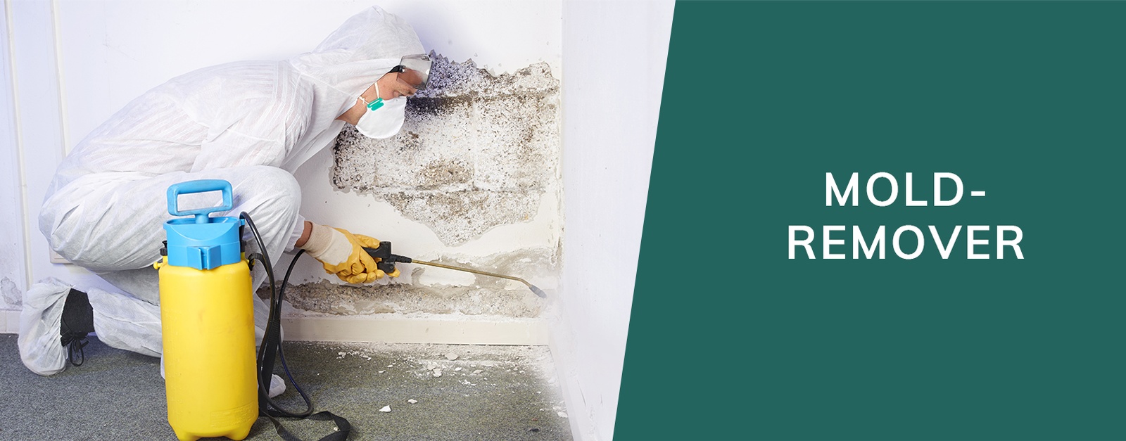 Mold Remover and Mold Remediation - Mold Removal Contractor Manhattan at EC Abatement Inc