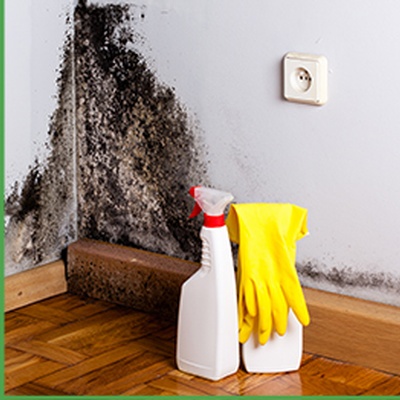 Mold Remover - Mold Removal Contractor New York at EC Abatement Inc