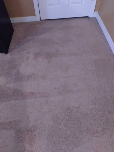 Carpet Cleaning Services Vine Grove by 3 Of J's Residential and Commercial Cleaning Services