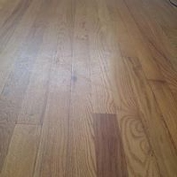 Wood Floor Cleaning Vine Grove by 3 Of J's Residential and Commercial Cleaning Services