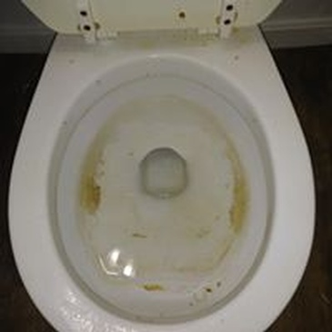 Toilet Cleaning Services Vine Grove by 3 Of J's Residential and Commercial Cleaning Services