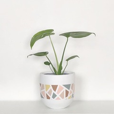 The Terrazzo Pot- Baked Clay/Sage