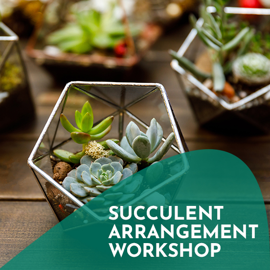 DIY Succulent Arrangement Workshop