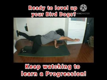 Bird Dogs Progression - Extended Bird Dogs
