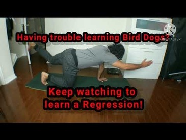 Bird Dogs Regression - Arms Only