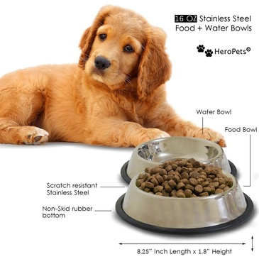 Pet Food Plate - Product Photography Dallas by Hurst Digital