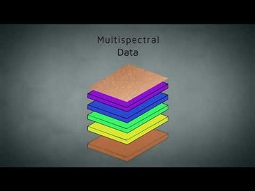 Spectrum MD Overview Video
