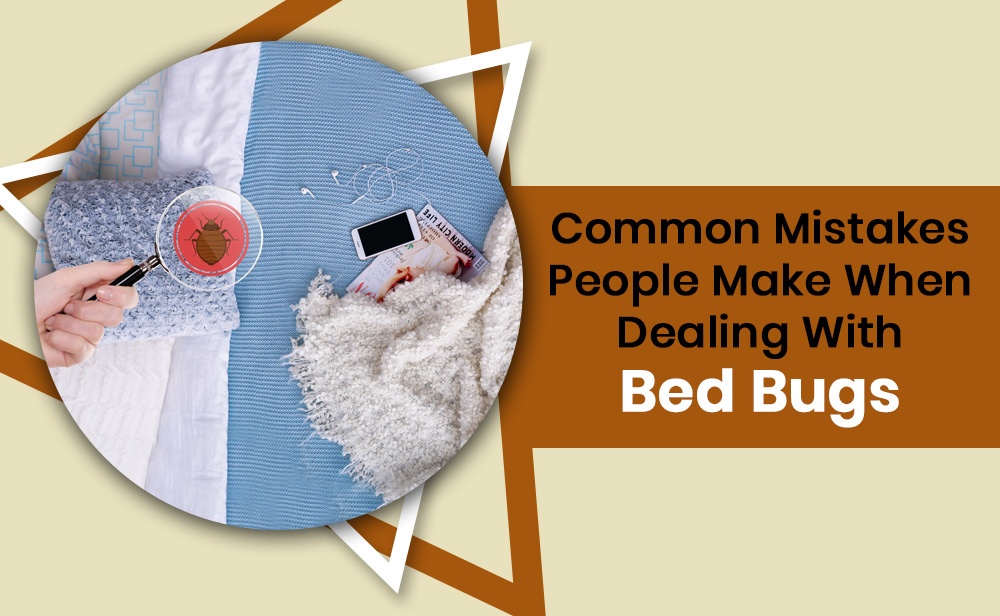 Bed Bug Heaters - Month 5 - Blog Banner.jpg