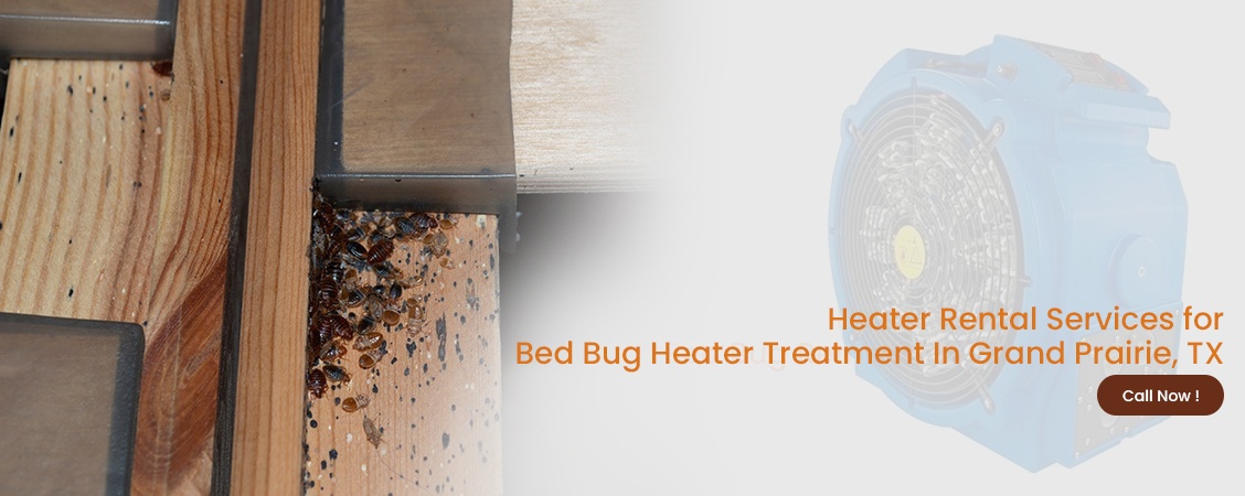 Bed Bug Heater Treatment Grand Prairie, TX