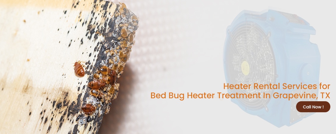 Bed Bug Heater Treatment Grapevine, TX