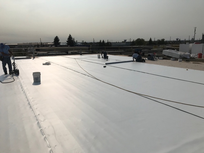 PVC Roofs