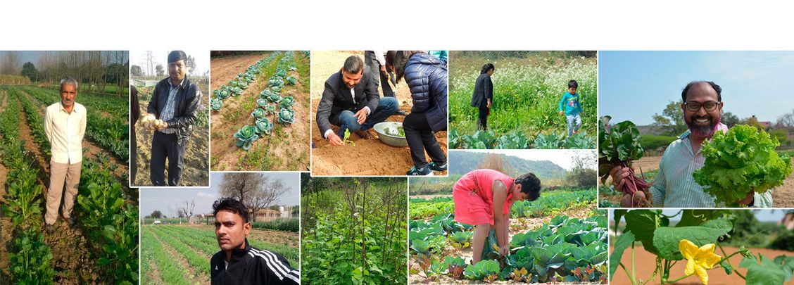 GOFM farmers are an an integral part of the Gurgaon community