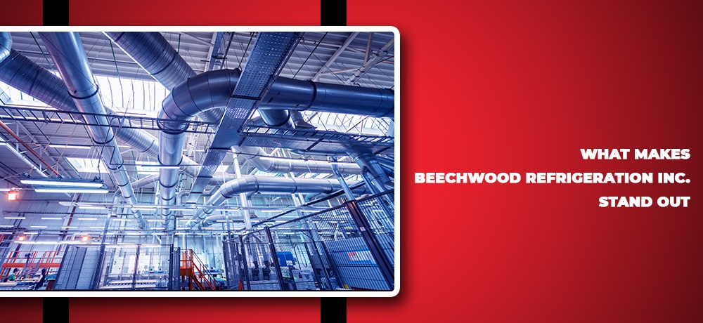 Beechwood-Refrigeration---Month-2---Blog-Banner.jpg