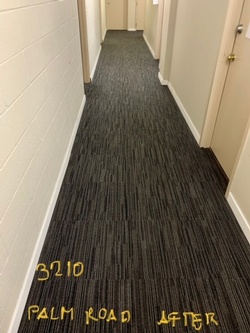 After Carpet Cleaning at Palm Road Apartments by Professional Cleaning Technicians - JAG Cleaning Services Ltd.