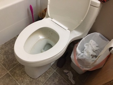 Before Cleaning Restroom - Residential Cleaning Services in Lethbridge, AB by JAG Cleaning Services Ltd.