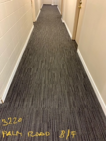 Before Cleaning Hallway Carpet Area at Palm Road Apartments by Best Cleaning Experts at JAG Cleaning Services Ltd.