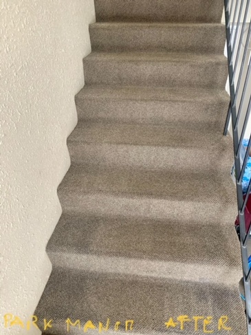 Residential Stairwell Area Carpet Cleaning at Park Manor Apartments by Top Cleaning Experts at JAG Cleaning Services Ltd.