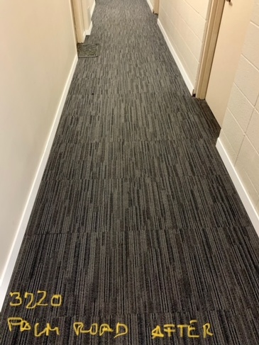 Hallway Carpet Cleaning at Palm Road Apartments by Professional Cleaning Technicians at JAG Cleaning Services Ltd.