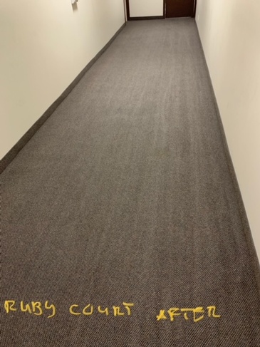 Hallway Carpet Cleaning at Ruby Court by Top Cleaners at Best Cleaning Company - JAG Cleaning Services Ltd.