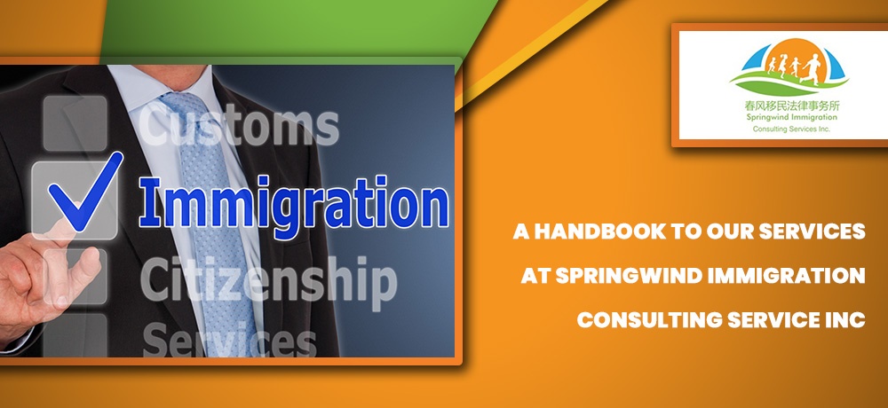 Springwind-Immigration---Month-43-#---1---Blog-Banner.jpg