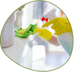 Condo Cleaning Shelburne