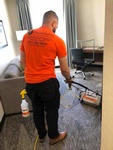 Dry Carpet Cleaning Brighton by DMaidsPro 