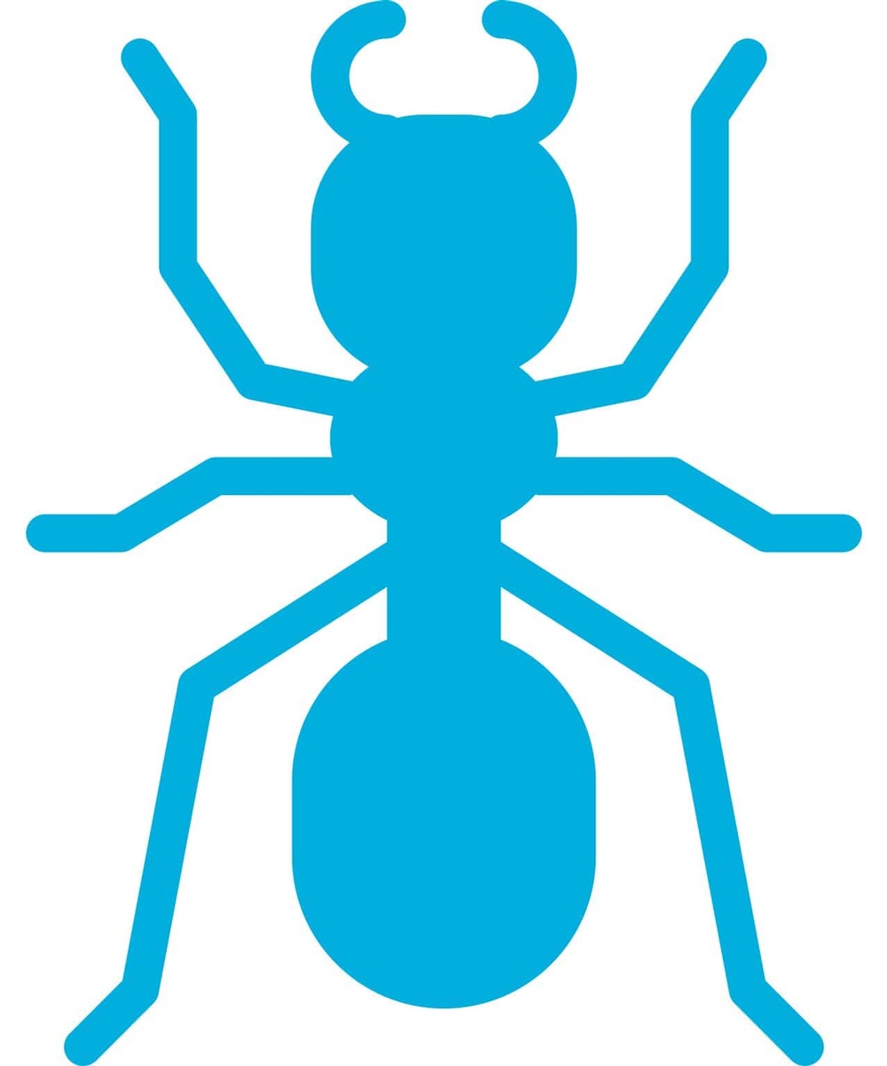 icon-termite (1).jpg
