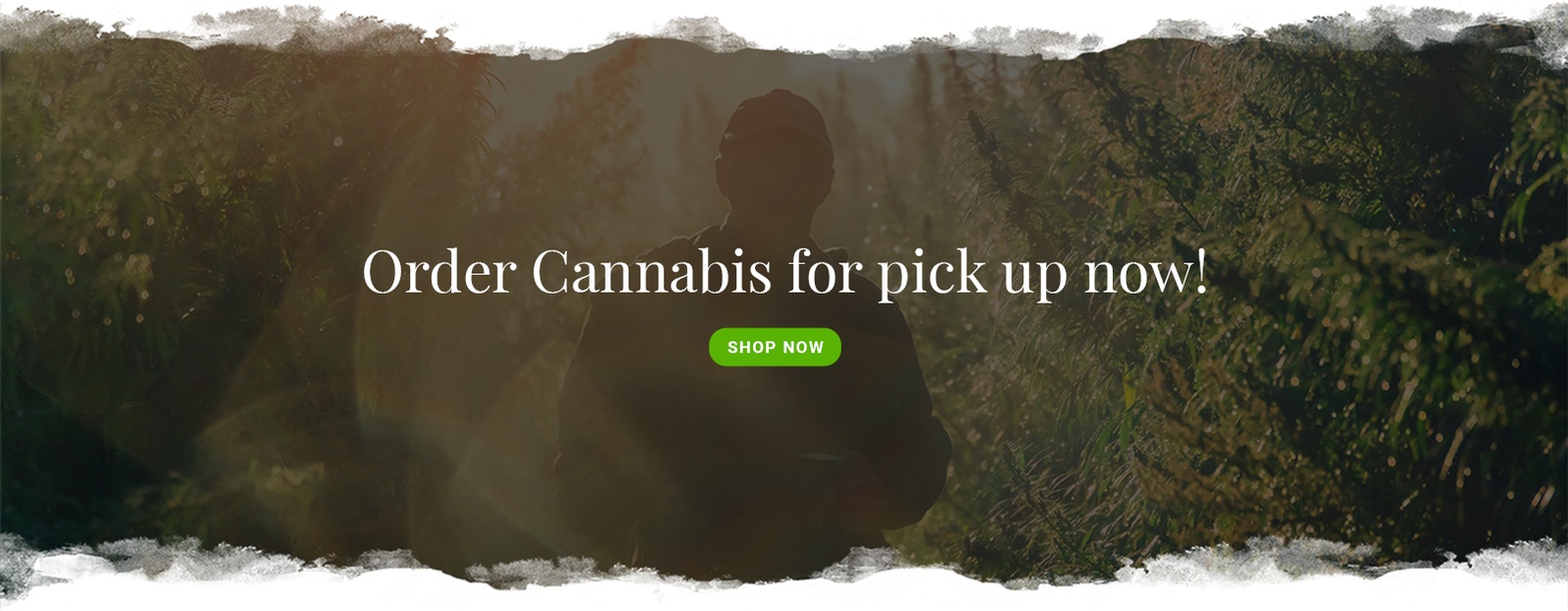 Order Cannabis for pick up now - Weed Store in Grande Prairie AB