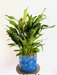 Spatifilum Garden Planters - Florist Brossard QC - YnV Lifestyle Inc.