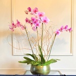 Pink Orchids on table - Wedding Florist Brossard QC - YnV Lifestyle Inc.