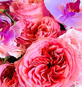 Luxury Lust Flower Arrangement Design - Floral Designer in Brossard at YnV Lifestyle Inc.
