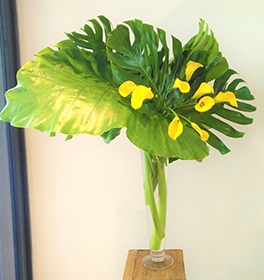 Tropics Flower Arrangement Design - Floral Designer in Brossard at YnV Lifestyle Inc.