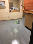 Tile Cleaning Specialists