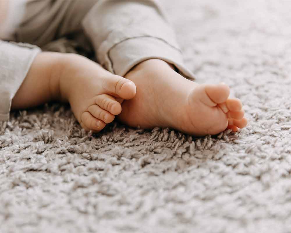 Residential Carpet Cleaning in Campbell River