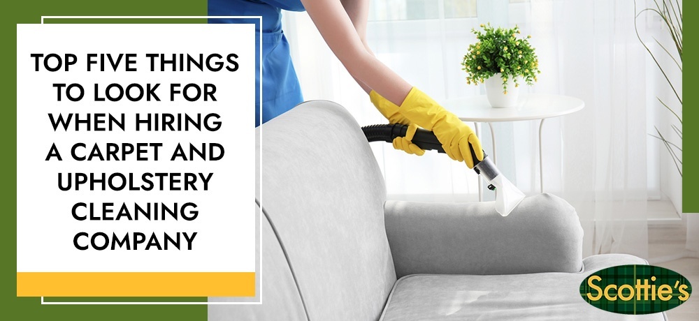 Top Five Things To Look For When Hiring A Carpet And Upholstery Cleaning Company
