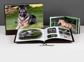 Dog Photo Albums