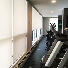 Roller Window Shades installed for commercial gym center by Winco Blinds & Window Fashion