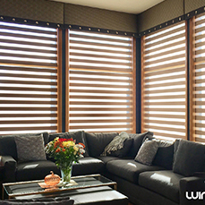 Zebra Style Dual Window Blinds Installed for residential space by Winco Blinds & Window Fashion