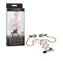 Entice Intimate Clamps, Triple at Adult Shop in Canada, The Love Boutique