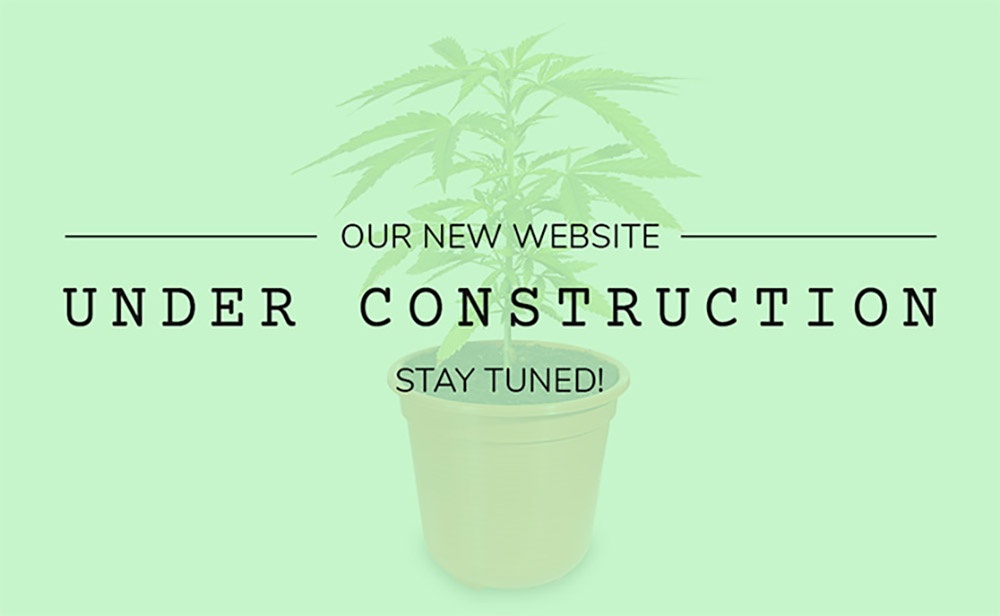 New Website Under Construction - The Potery