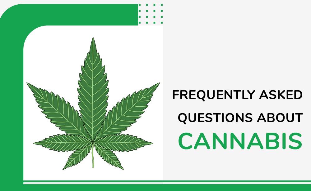 Frequently Asked Questions About Cannabis - The Potery